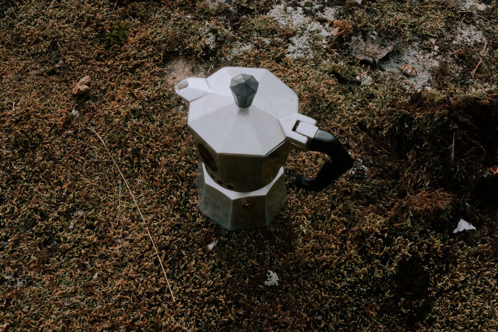 Aerial shot of a classic moka pot resting on textured mossy ground, capturing an outdoor coffee moment.